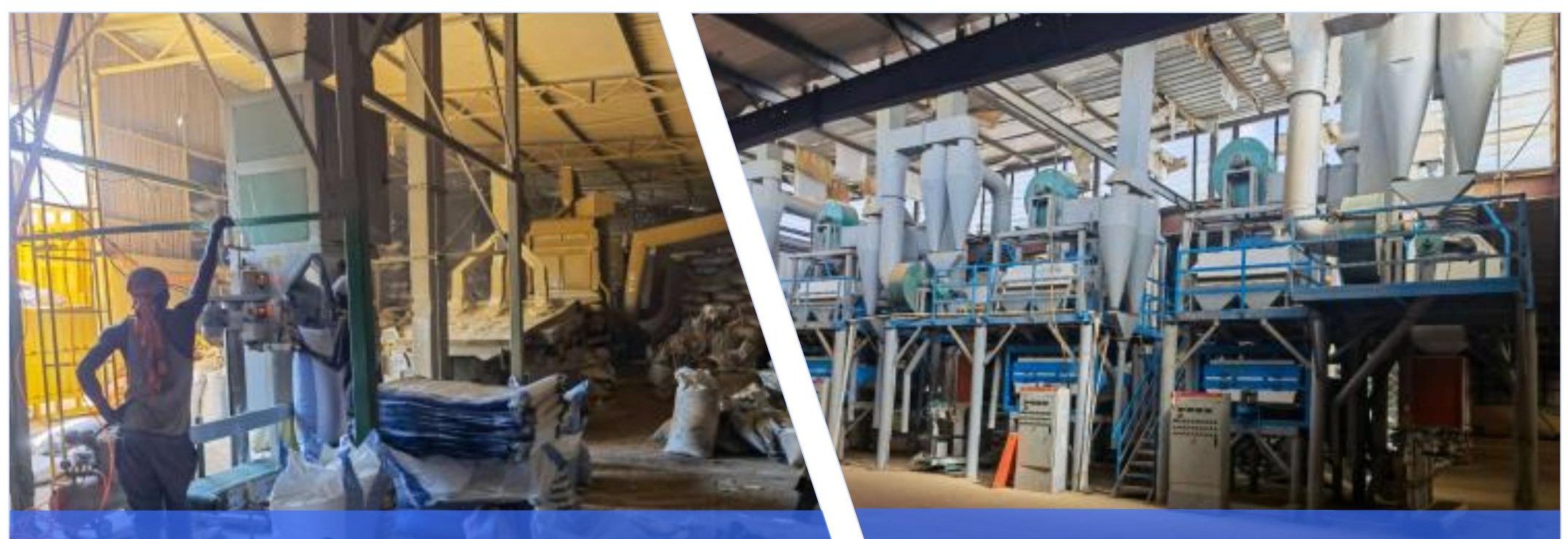 Agricultural processing plant